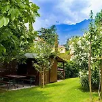 Laurus Merano