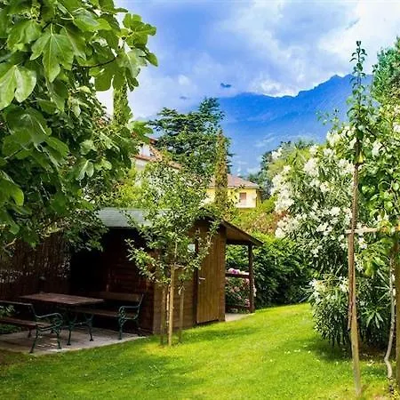 Laurus Merano